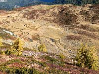 Gran Canyon verde  DSCN9438 - Copy